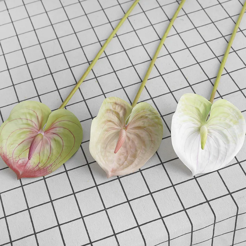 인공 식물 시뮬레이션 3D 인쇄 필름, 레드 팜 웨딩  - 3D Printing Ai 리뷰 및 가격